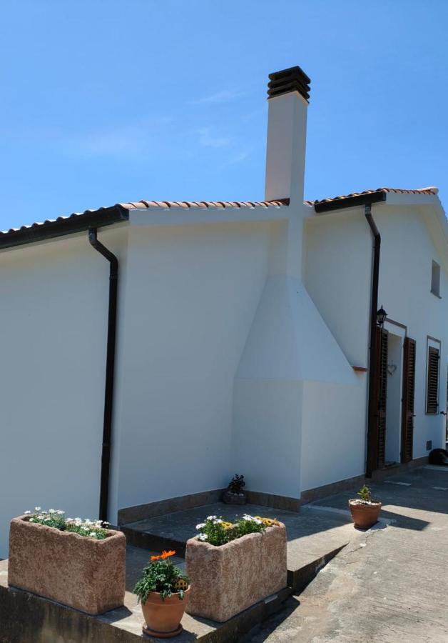 La_Casa_Di_ Willy Villa Canai Exterior foto